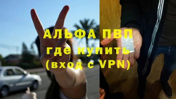 спиды Заволжье