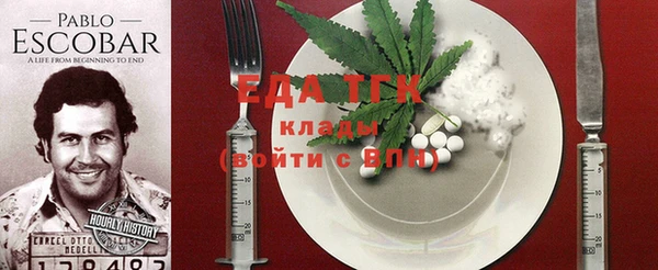 хмурый Сосновый Бор