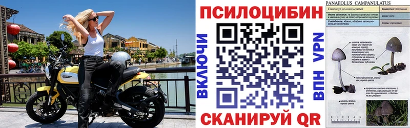 Псилоцибиновые грибы мицелий  Лысково 